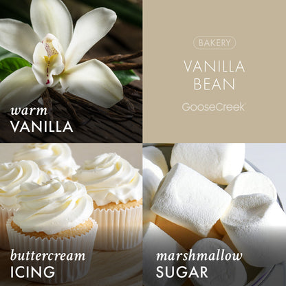 Vanilla Bean 3-Wick Candle
