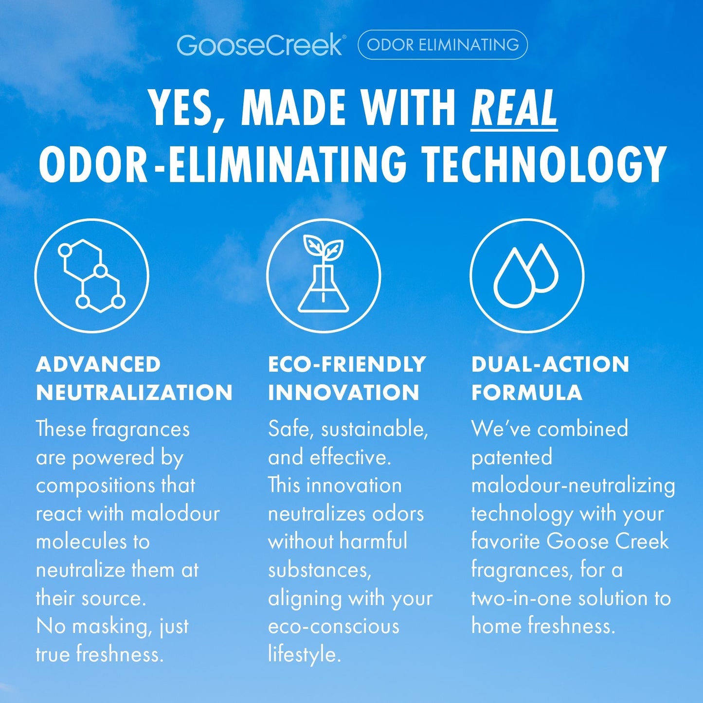 Watermelon Lemonade Odor Eliminating Wax Melt