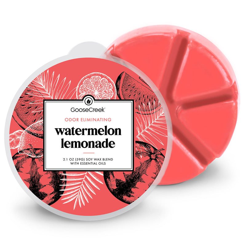 Watermelon Lemonade Odor Eliminating Wax Melt FN9W